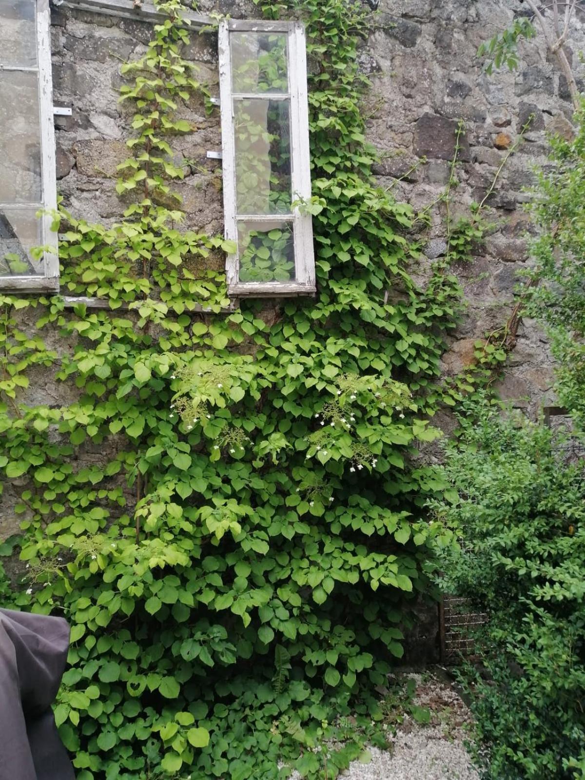 Le Cosy De Claire Villa La Bourboule Exterior foto